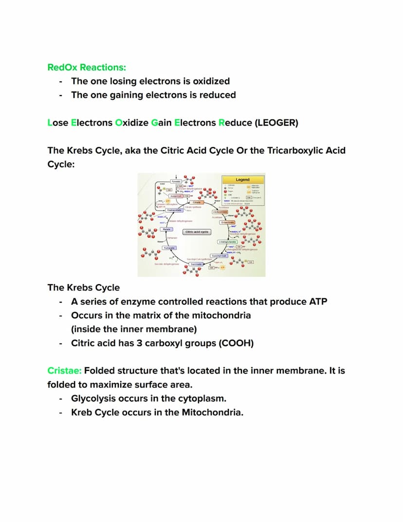 Videos
Cellular Respiration Overview:
https://youtu.be/00jbG cfGuQ
Glycolysis: https://youtu.be/FE2jfTXAJHg
Glycolysis Song: https://youtu.b