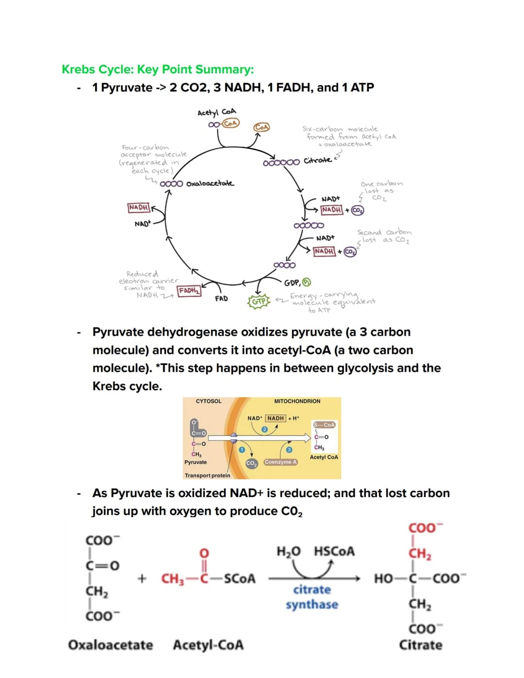Videos
Cellular Respiration Overview:
https://youtu.be/00jbG cfGuQ
Glycolysis: https://youtu.be/FE2jfTXAJHg
Glycolysis Song: https://youtu.b