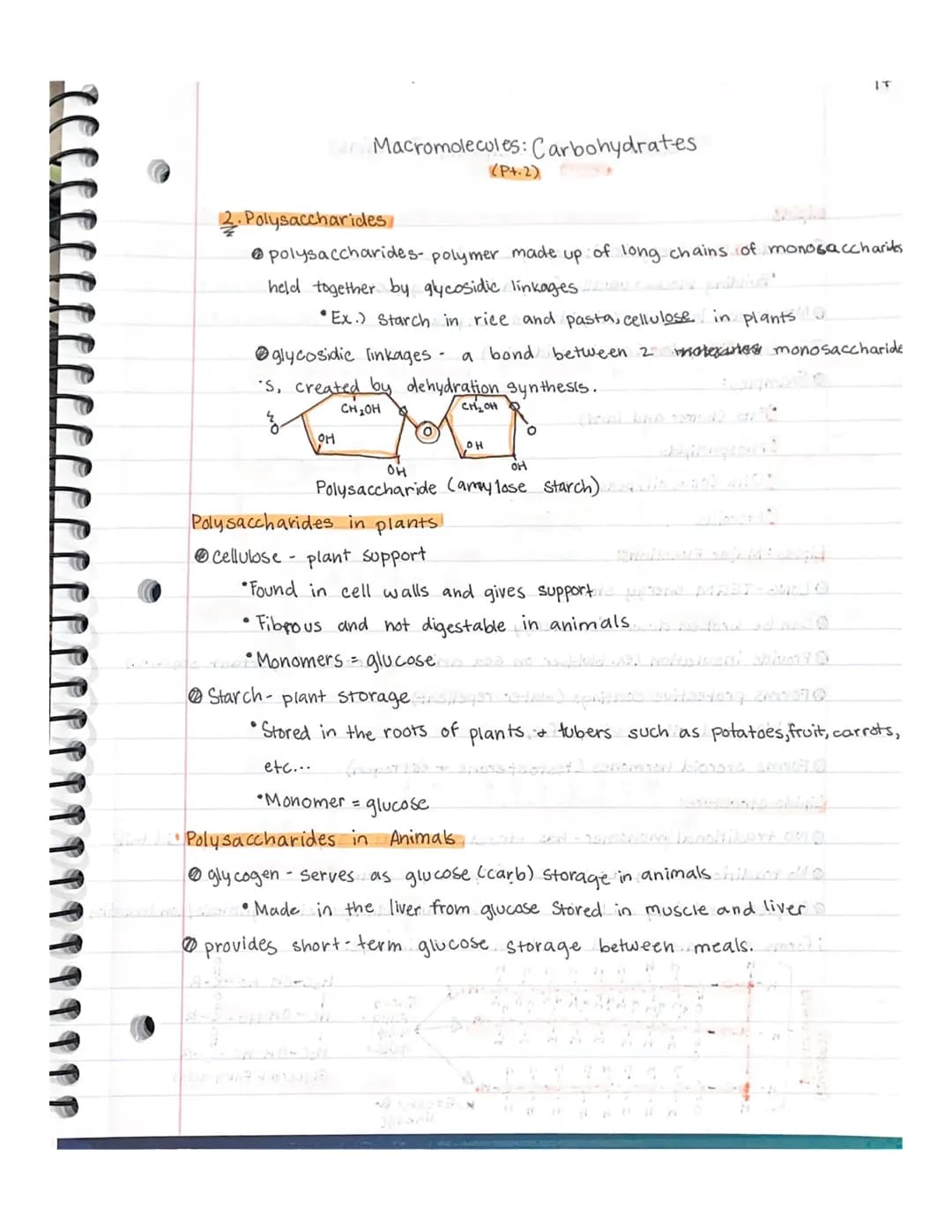 16
Macromolecules: Carbohydrates
(Pt.1)
Molecules of life
Also called biomolecules or polymerse of thesupe
Made up of C, H, O, N, P and Some