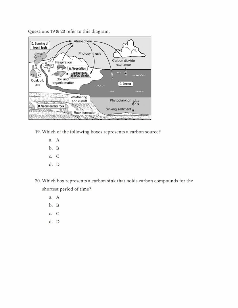 APES Unit 1: Multiple Choice from AP Classroom
Questions 1-3 refer to this diagram:
Bacteria
Nitrates (NO3)
Bacteria
in Soil
Nitrogen Gas (N