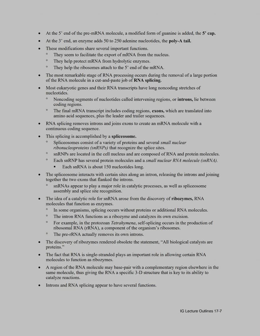 Lecture Outline
Overview
●
●
●
●
●
●
●
The information content of DNA is in the form of specific sequences of nucleotides along the
DNA stra