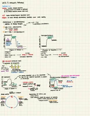 Know AP Biology Unit 3 Metabolic Pathways thumbnail