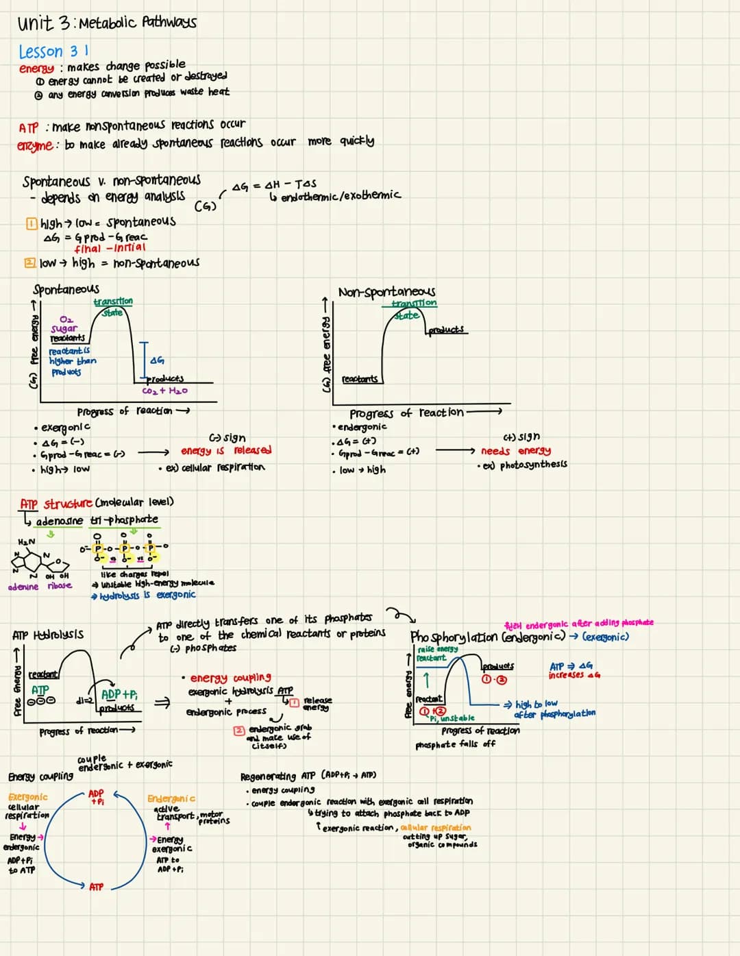 unit 3: Metabolic Pathways
Lesson 31
energy makes change possible
energy cannot be created or destroyed
any energy conversion produces waste