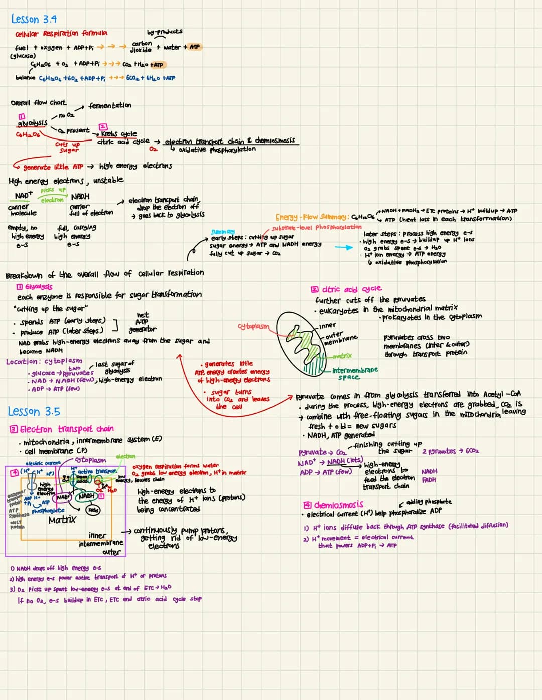 unit 3: Metabolic Pathways
Lesson 31
energy makes change possible
energy cannot be created or destroyed
any energy conversion produces waste