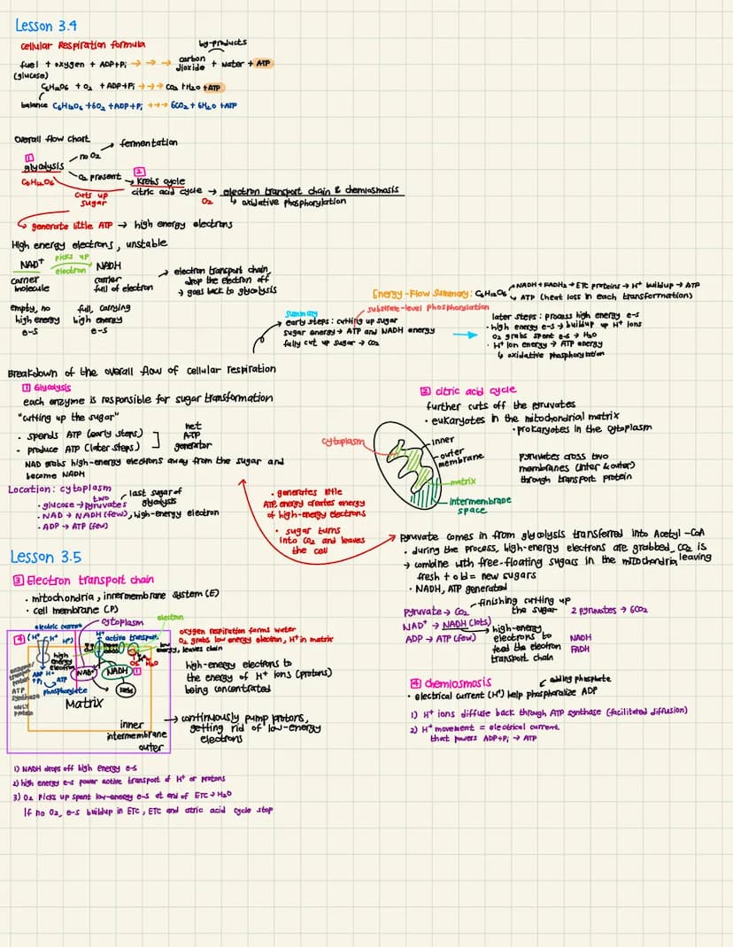 unit 3: Metabolic Pathways
Lesson 31
energy makes change possible
energy cannot be created or destroyed
any energy conversion produces waste