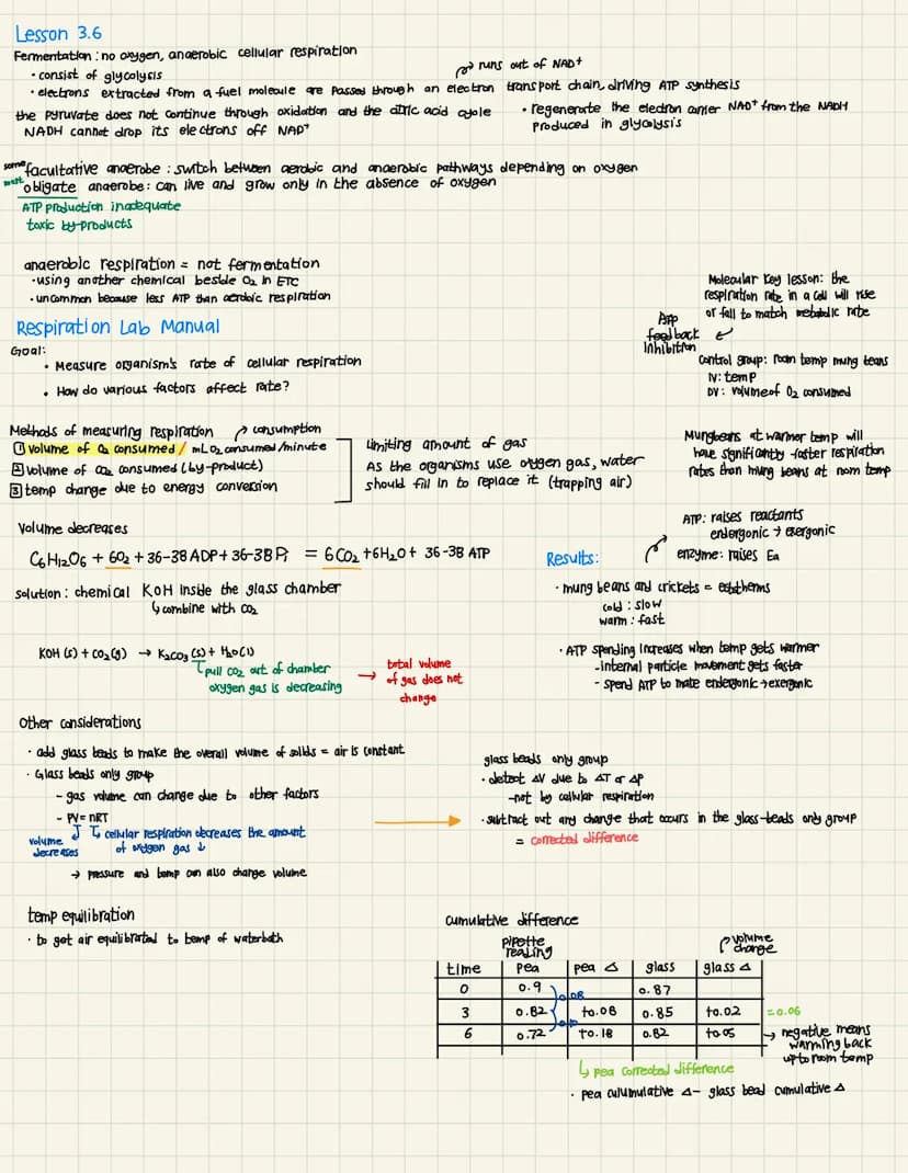 unit 3: Metabolic Pathways
Lesson 31
energy makes change possible
energy cannot be created or destroyed
any energy conversion produces waste