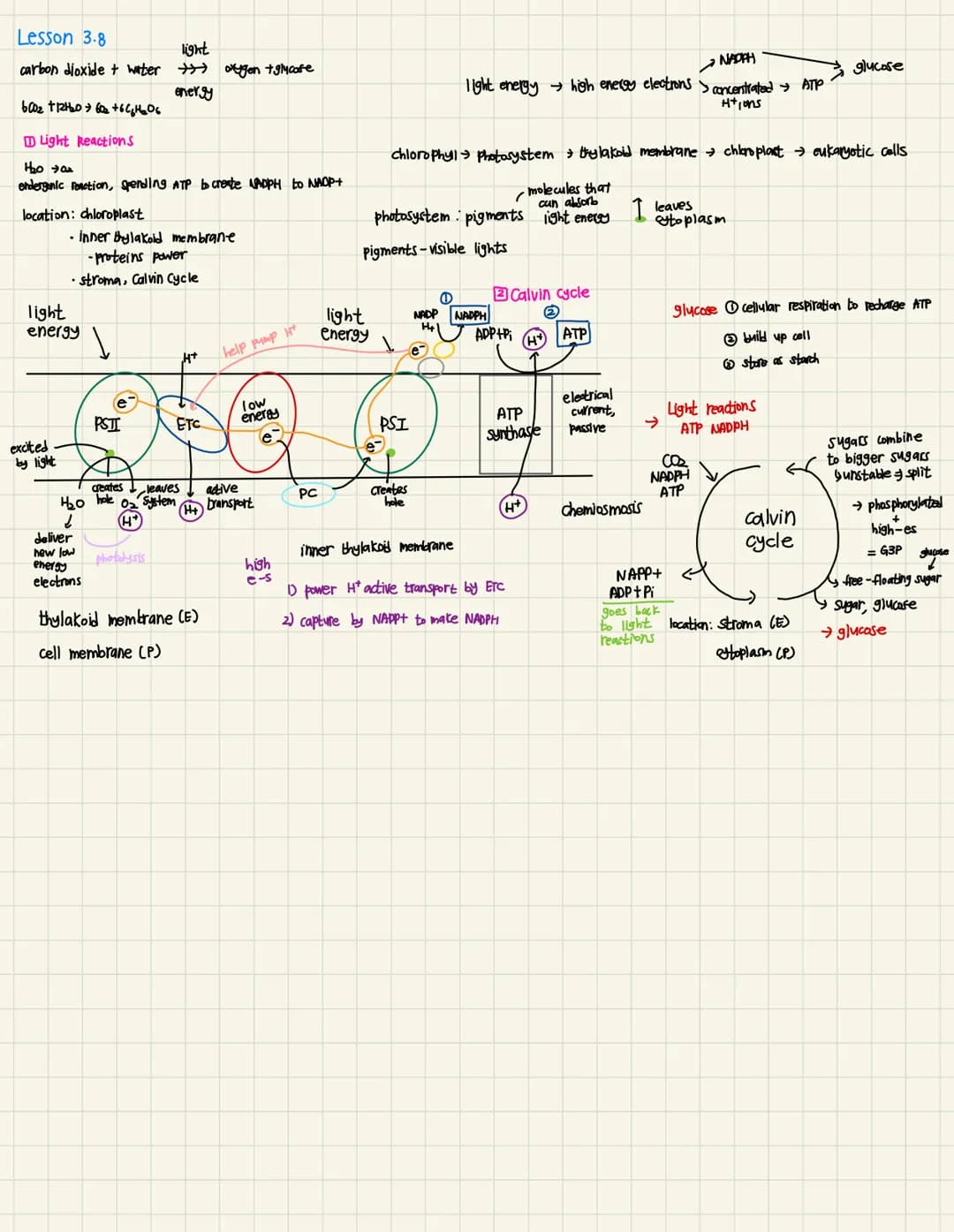 unit 3: Metabolic Pathways
Lesson 31
energy makes change possible
energy cannot be created or destroyed
any energy conversion produces waste