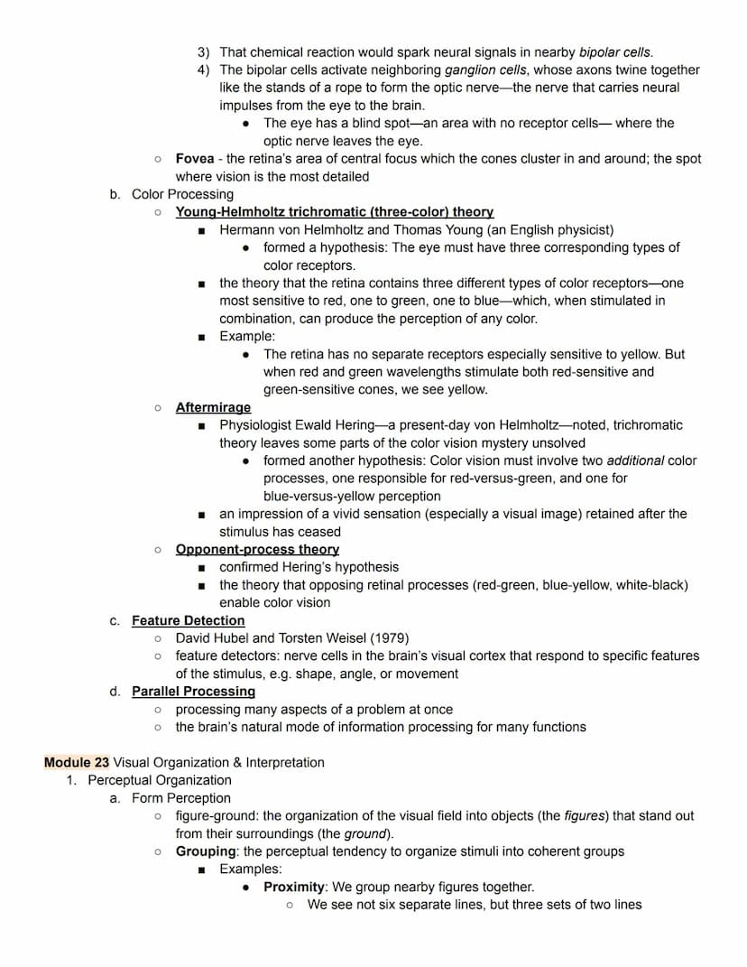 Unit 3 Outline
Sensation & Perception
Module 20 Basic Concepts of of Sensation & Perception
1. Processing sensation & perception
sensation -