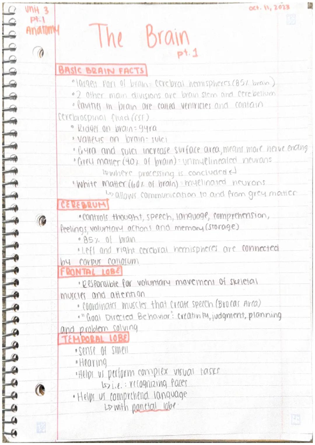 Unit 3
PHI
Anatomy
@
C
The Brain
1
BASIC BRAIN FACTS
largest part of brain - Cerebral hemispheres (85% brain)
•2 other main divisions are br