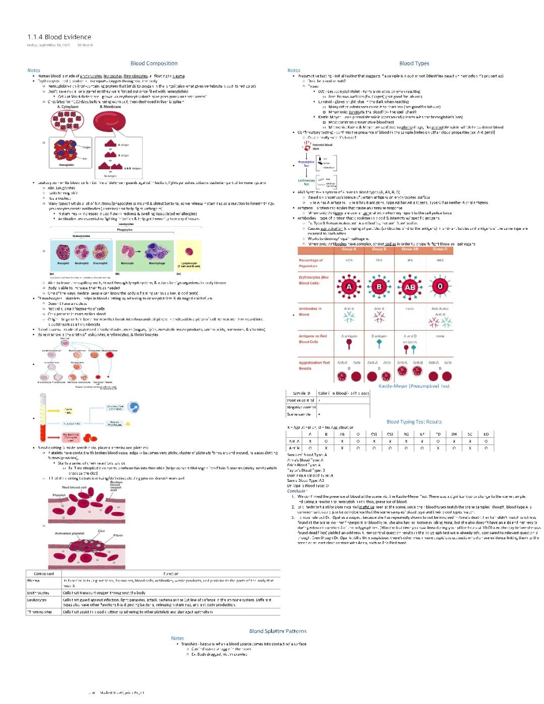 1.1.4 Blood Evidence Notes