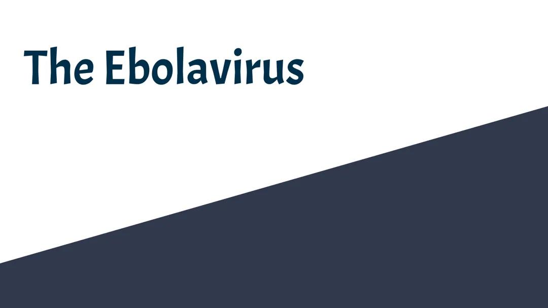 Ebolavirus Presentation