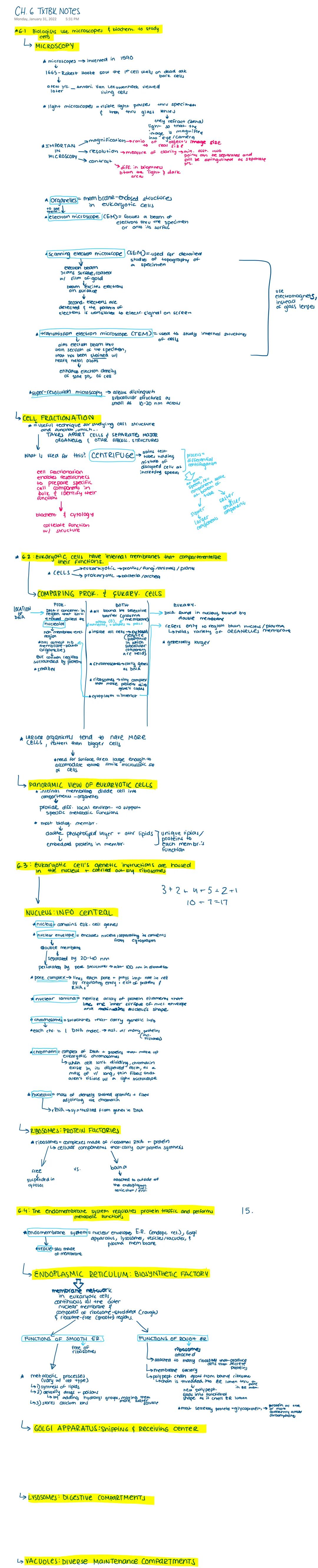 CH. 6 TXTBK NOTES
Monday, January 31, 2022 5:31 PM
*6.1 Biologists use microscopes & biochem. to study
↳
MICROSCOPY
A microscopes invented i