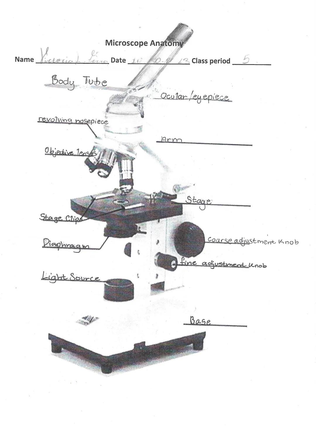 Name
Microscope Anatomy
Victoria)
fine Date 10
Body Tube
revolving nosepiece
Objective lenses
Class period
5
Ocular/eyepiece
Arm
Stage Clips