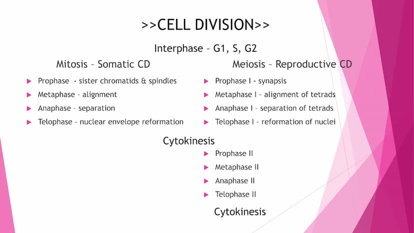 REPRODUCTION
Cell Division | Modes of Reproduction | Genetics & Heredity | Nature of Genes | DNA >>CELL DIVISION>>
Interphase - G1, S, G2
Mi