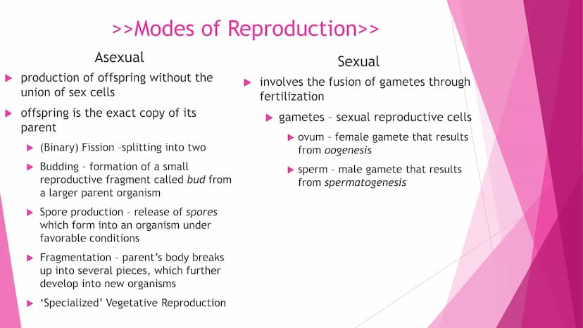 REPRODUCTION
Cell Division | Modes of Reproduction | Genetics & Heredity | Nature of Genes | DNA >>CELL DIVISION>>
Interphase - G1, S, G2
Mi