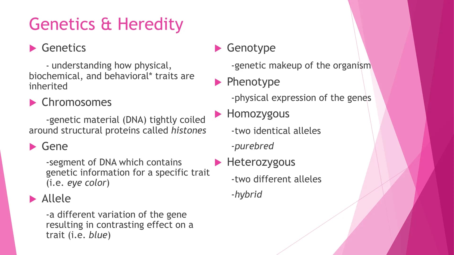REPRODUCTION
Cell Division | Modes of Reproduction | Genetics & Heredity | Nature of Genes | DNA >>CELL DIVISION>>
Interphase - G1, S, G2
Mi