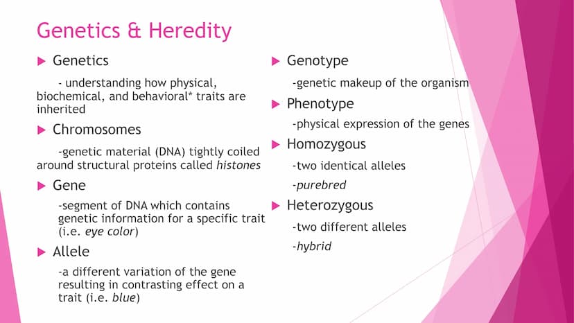 REPRODUCTION
Cell Division | Modes of Reproduction | Genetics & Heredity | Nature of Genes | DNA >>CELL DIVISION>>
Interphase - G1, S, G2
Mi
