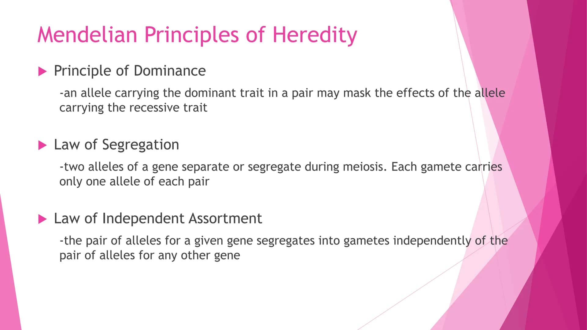 REPRODUCTION
Cell Division | Modes of Reproduction | Genetics & Heredity | Nature of Genes | DNA >>CELL DIVISION>>
Interphase - G1, S, G2
Mi