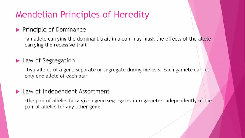 REPRODUCTION
Cell Division | Modes of Reproduction | Genetics & Heredity | Nature of Genes | DNA >>CELL DIVISION>>
Interphase - G1, S, G2
Mi