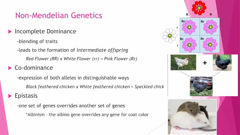 REPRODUCTION
Cell Division | Modes of Reproduction | Genetics & Heredity | Nature of Genes | DNA >>CELL DIVISION>>
Interphase - G1, S, G2
Mi