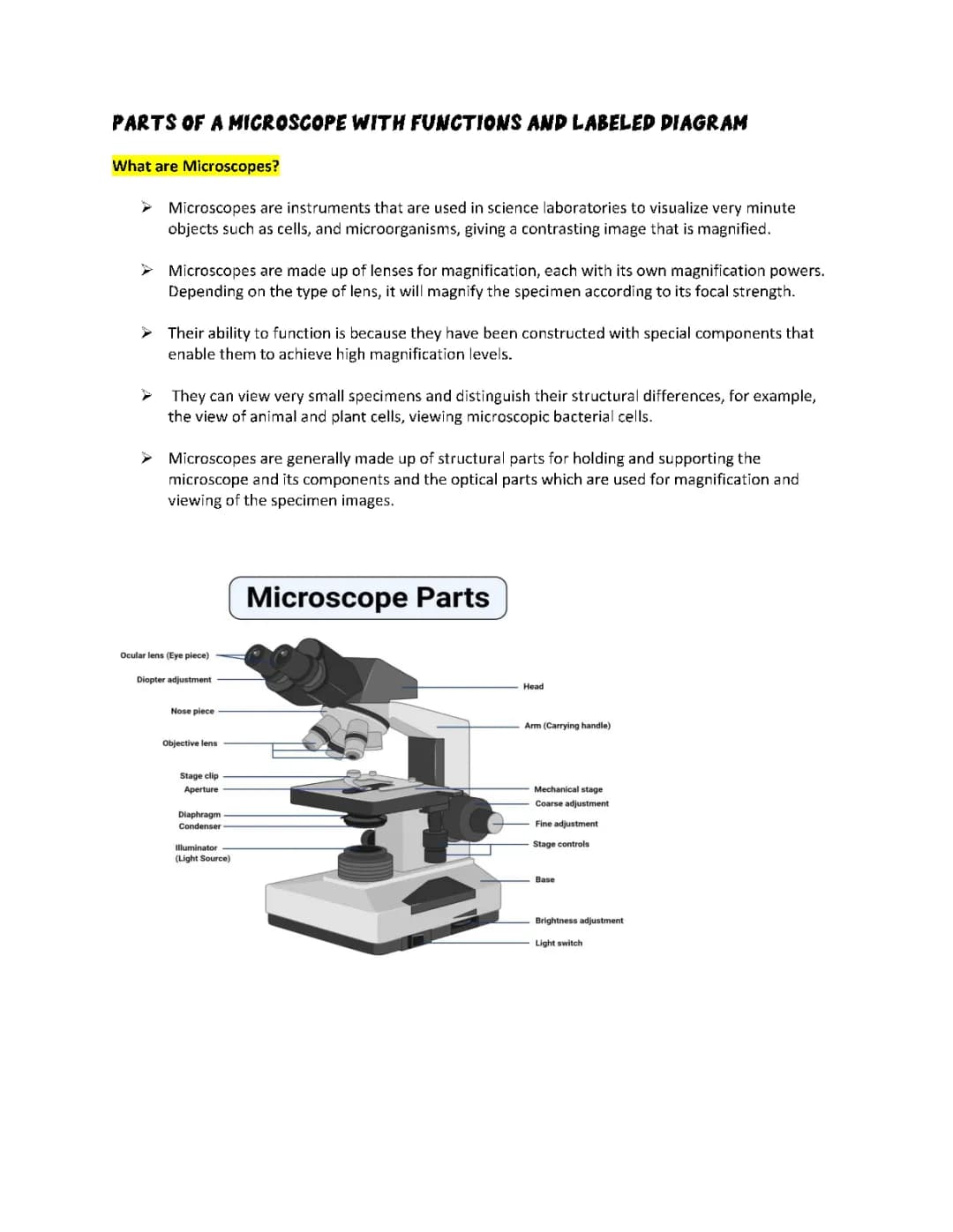The Microscope 