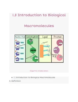 Know Intro to Biological Macromolecules thumbnail