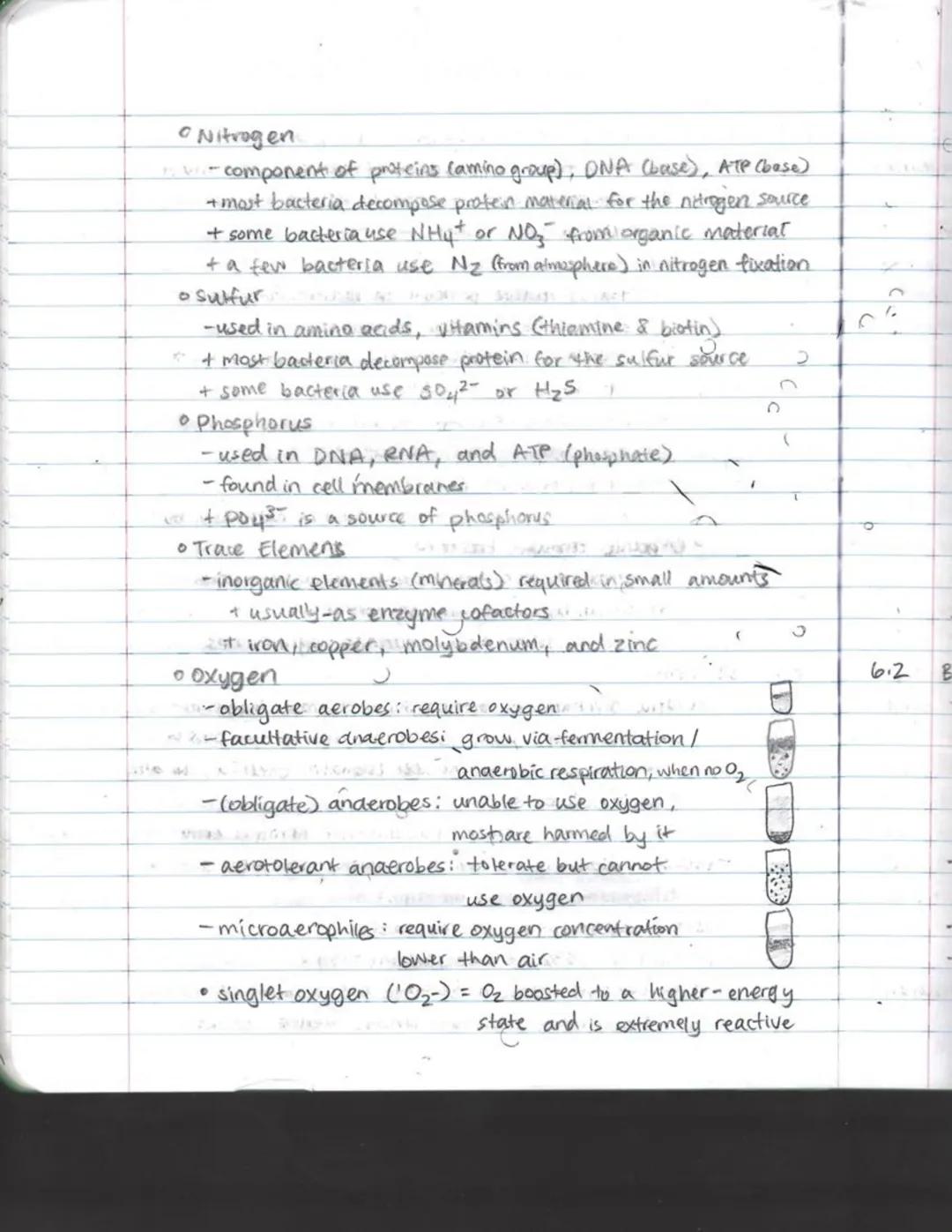 6.1
の
MICROBIAL GROWTH
Requirements for Growth
• Physical.
T
• Temperature P
-psychrophiles (cold) 201
+ grow between -5°C and 10°C to 20°C
