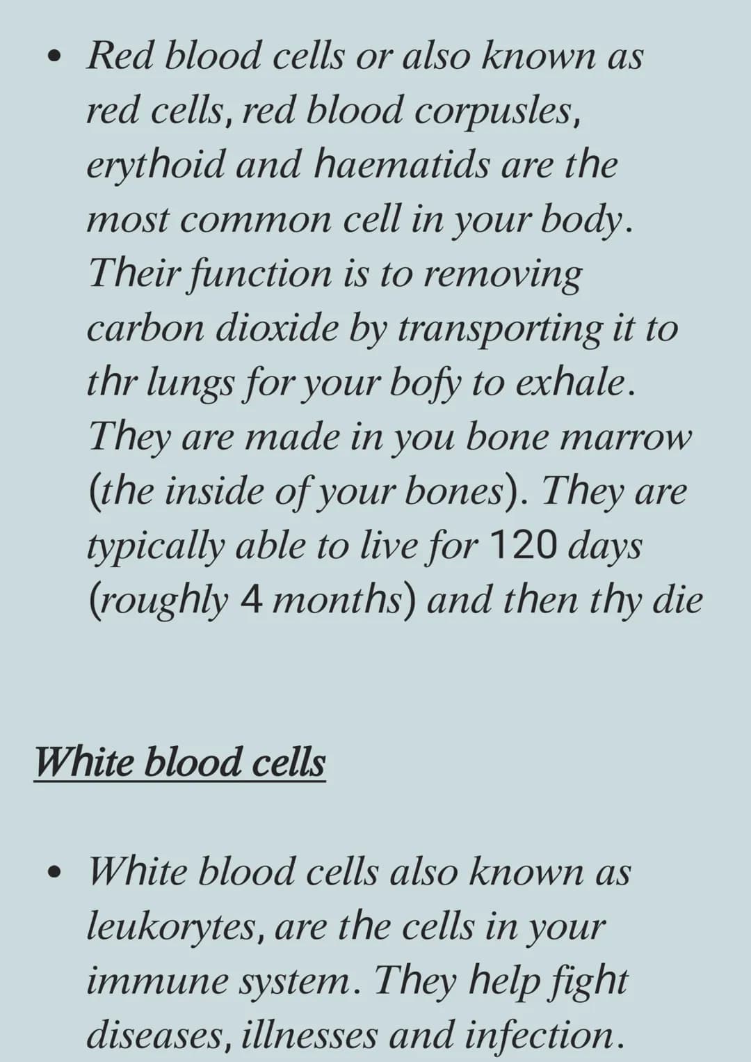 Types of Cells and Their Functions: A Simple Guide