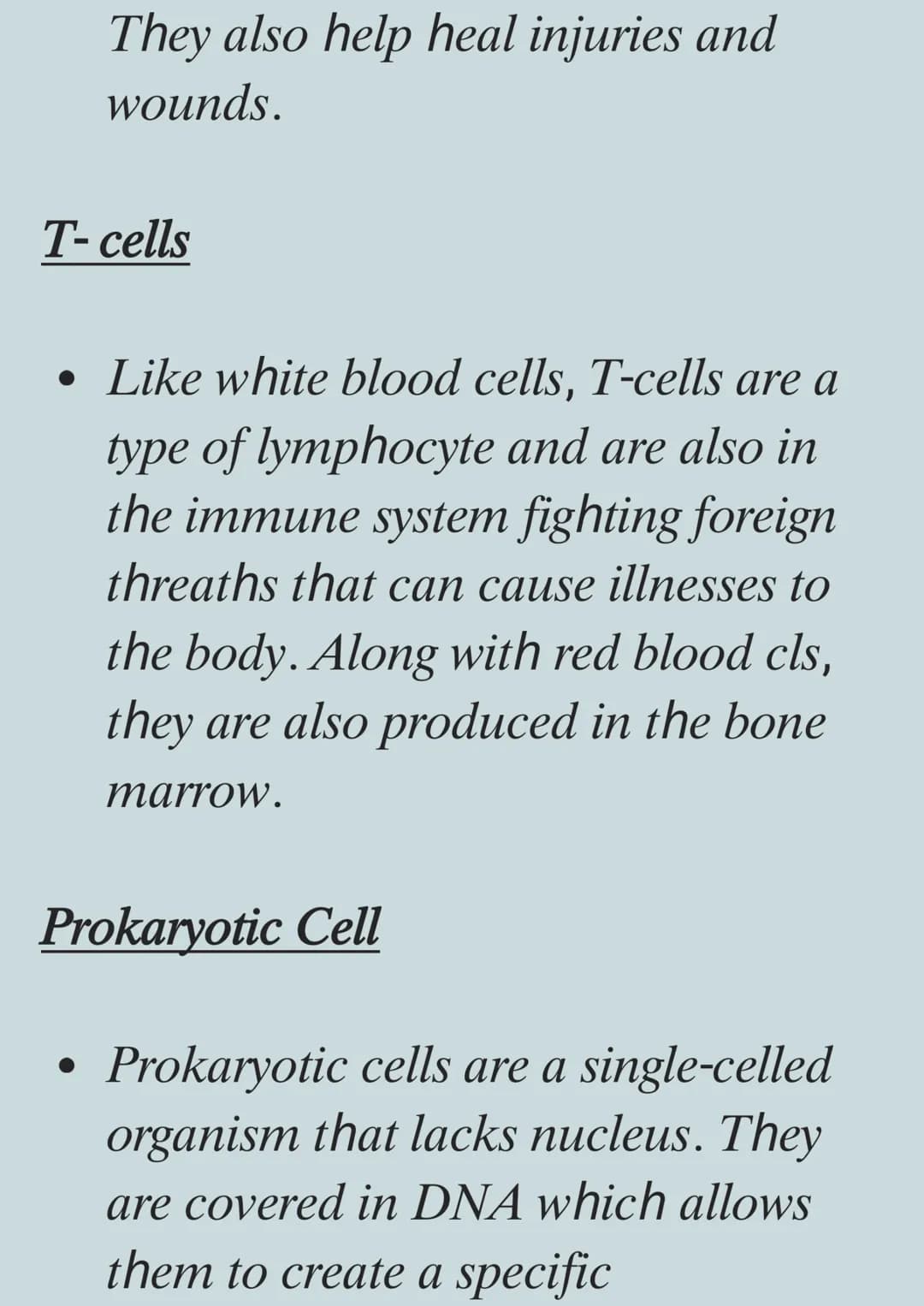 Types of Cells and Their Functions: A Simple Guide