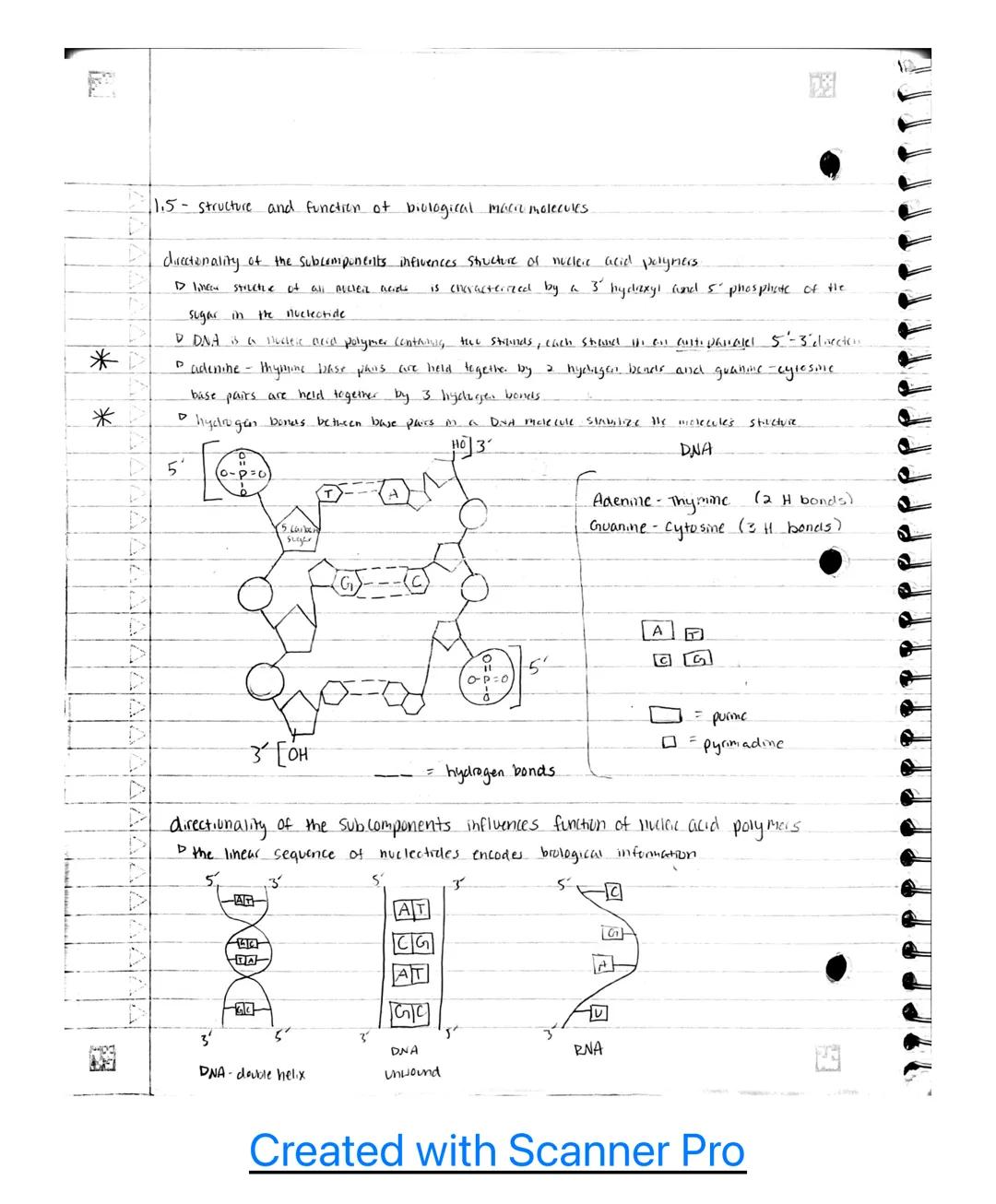 1111111F
20
AP B.0 Classroom notes ~
Unit 1
1.- Structure of water and hydrogen bonding.
the subcomponents of biological molecules determine