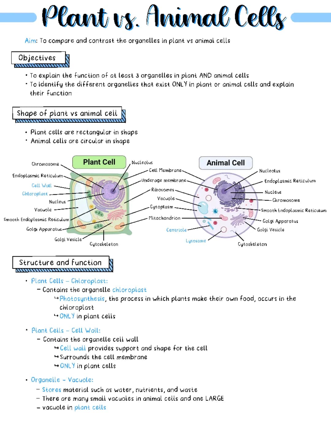 Cool Facts about Plant and Animal Cells: Diagrams, Parts, and Fun Differences!