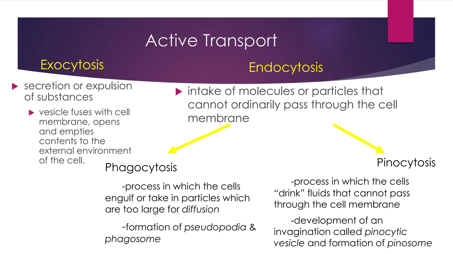 Maintain and
Regulate Internal
Environment
#HOMEOSTASIS Homeostasis in Cellular Physiology
ability of cells to maintain a constant internal 