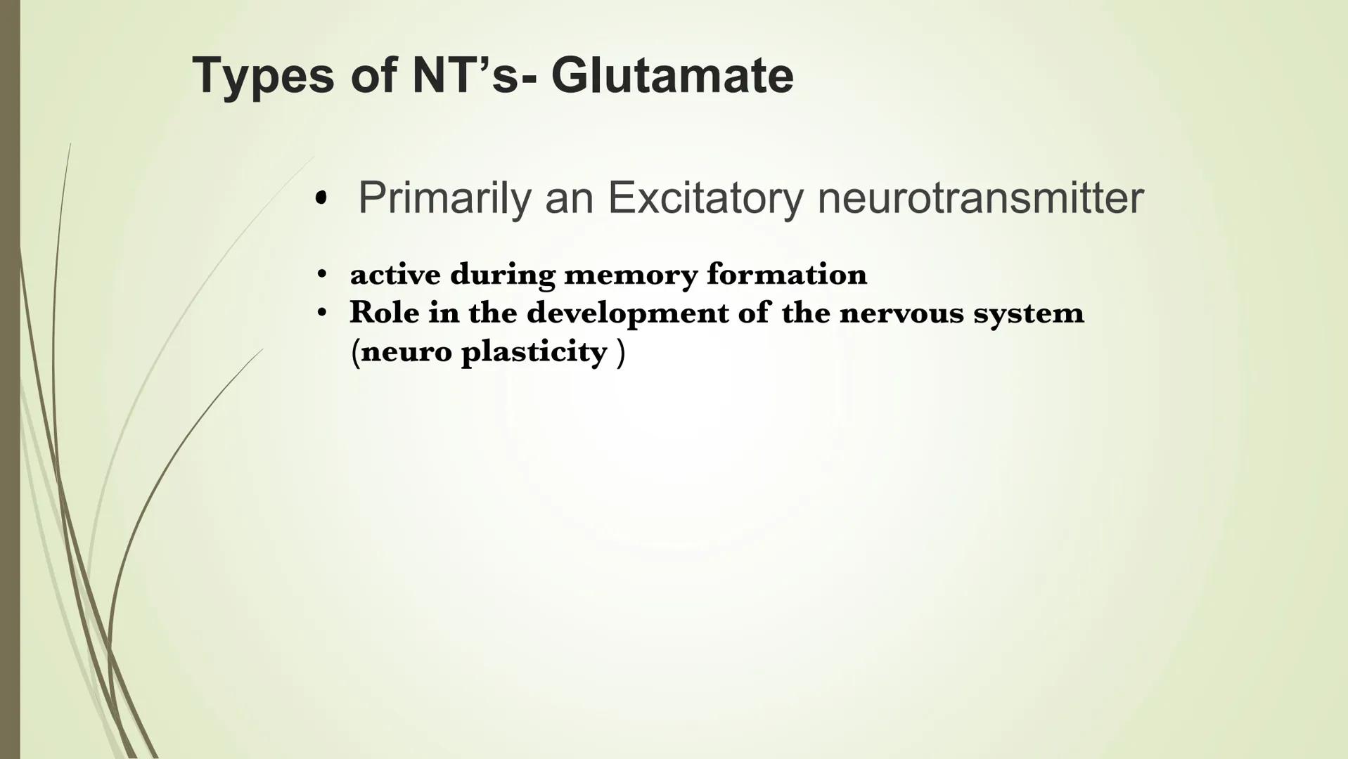 # The synapse and neurotransmitters

Excitatory Neurotransmitters
•Starts impulse transmission

• Will start a new impulse in the postsynapt
