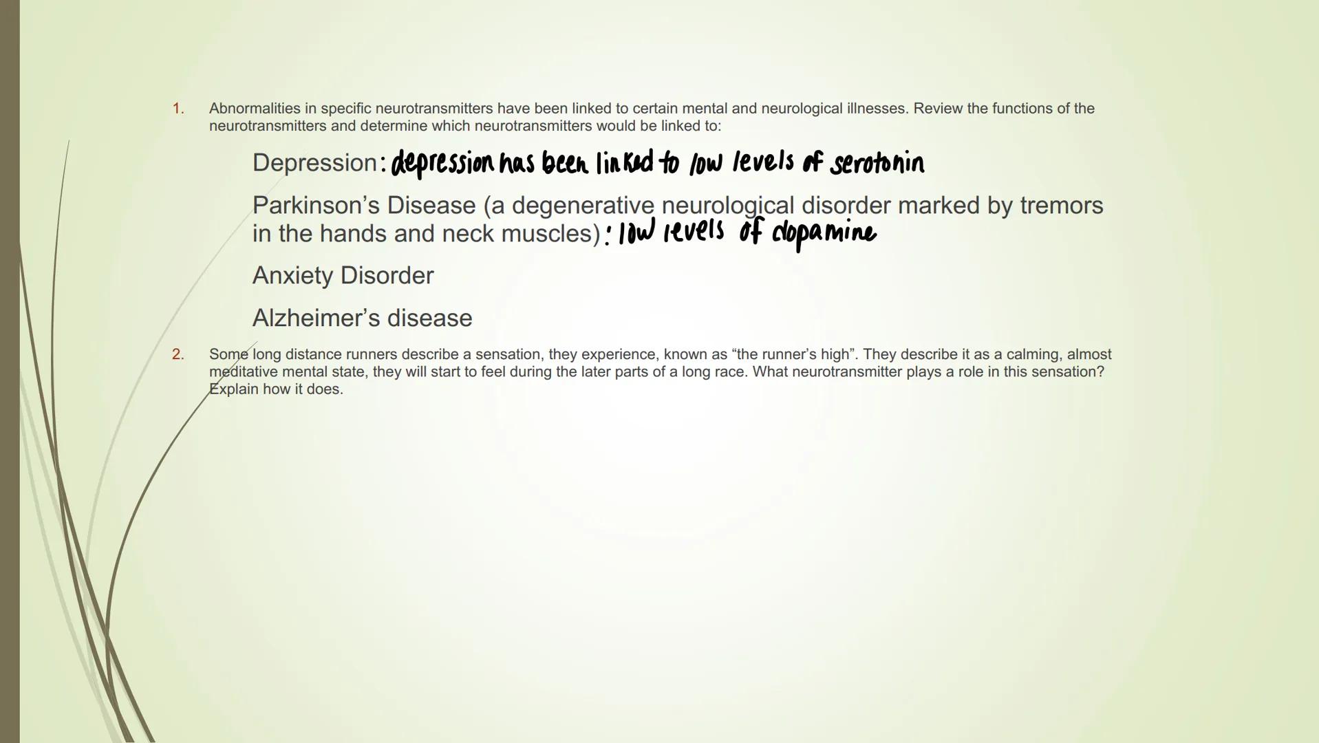 # The synapse and neurotransmitters

Excitatory Neurotransmitters
•Starts impulse transmission

• Will start a new impulse in the postsynapt