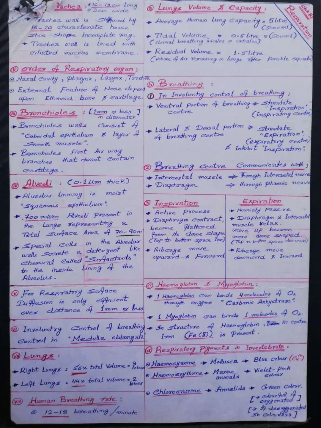 Yache a
→ Trachea wall is Stiffined by
16-20 characteristic hease
shoe shape Incomplete wing-
Imed with
→ Trachea wall is
ciliated mucous me