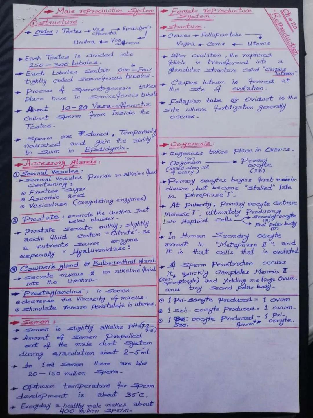 Yache a
→ Trachea wall is Stiffined by
16-20 characteristic hease
shoe shape Incomplete wing-
Imed with
→ Trachea wall is
ciliated mucous me