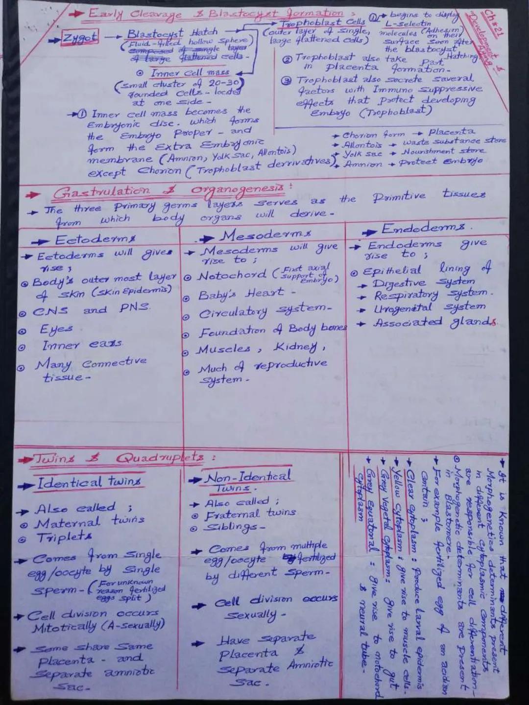 Yache a
→ Trachea wall is Stiffined by
16-20 characteristic hease
shoe shape Incomplete wing-
Imed with
→ Trachea wall is
ciliated mucous me