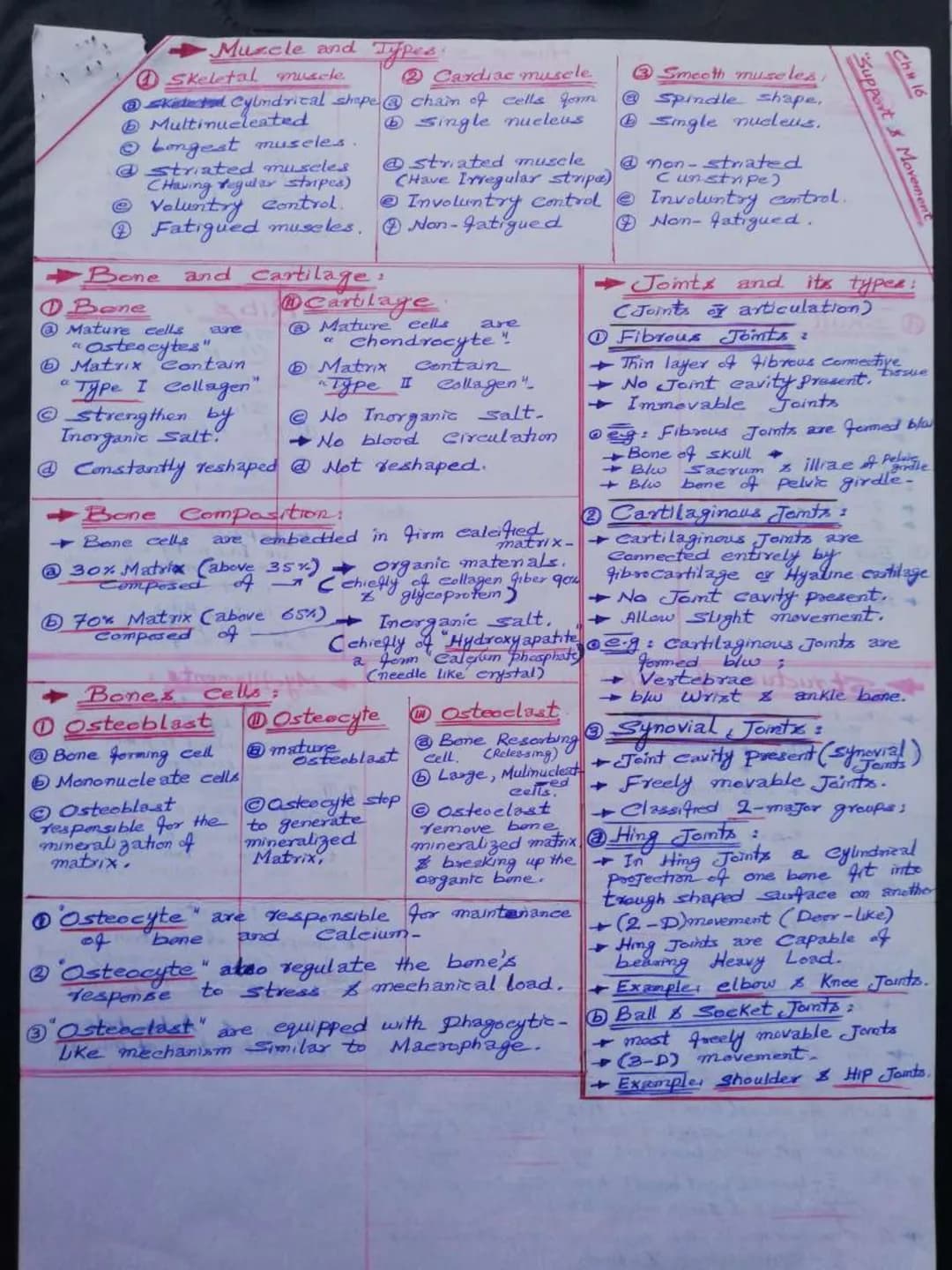 Yache a
→ Trachea wall is Stiffined by
16-20 characteristic hease
shoe shape Incomplete wing-
Imed with
→ Trachea wall is
ciliated mucous me