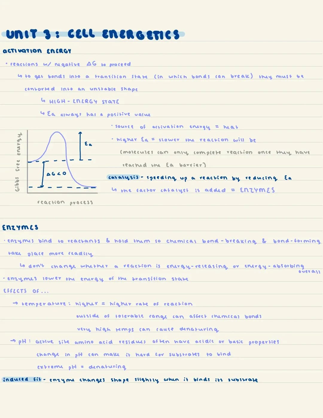 AP Biology Unit 3: Cellular Energetics Fun Guide and Test PDFs