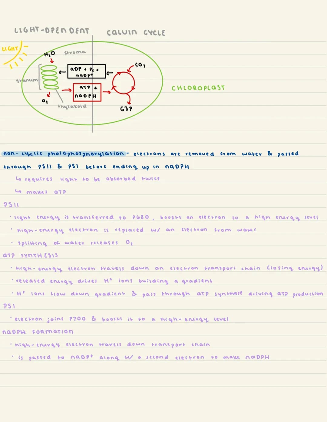 
<h2 id="activationenergyandgibbsfreeenergy">Activation Energy and Gibbs Free Energy</h2>
<p>Activation energy is the energy required for re