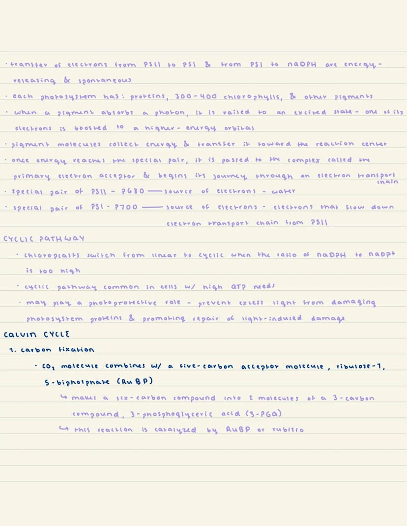 
<h2 id="activationenergyandgibbsfreeenergy">Activation Energy and Gibbs Free Energy</h2>
<p>Activation energy is the energy required for re