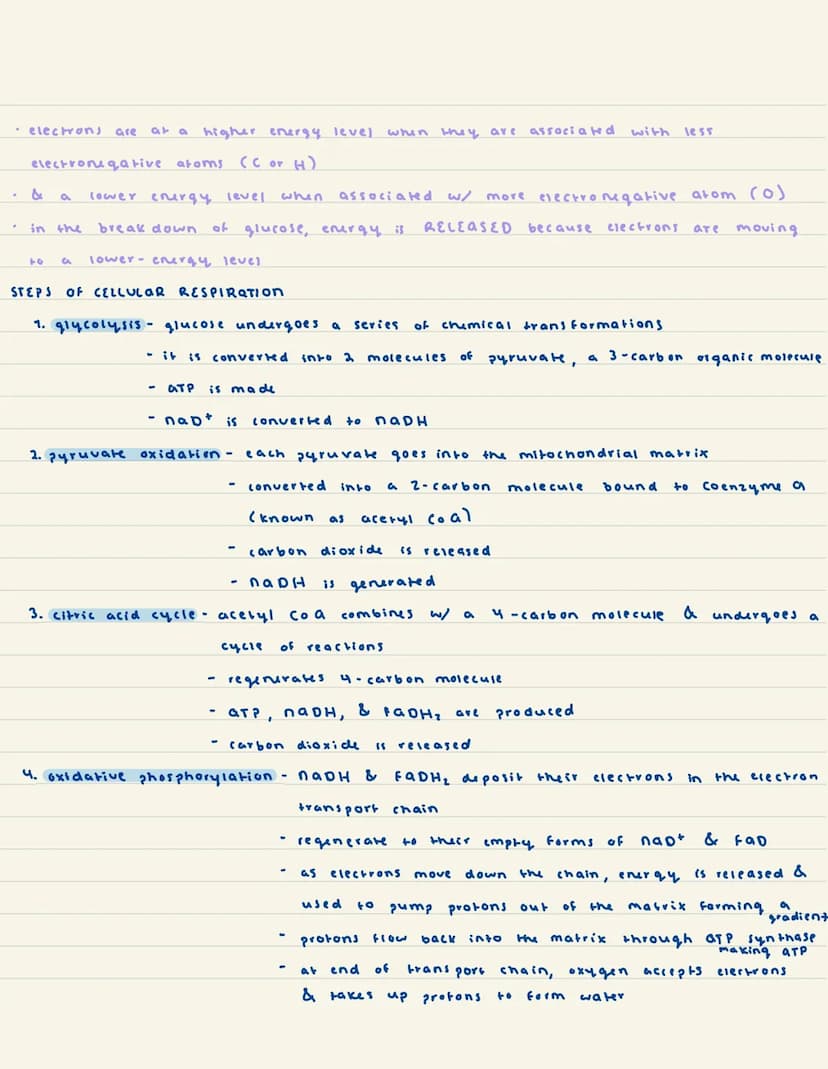 
<h2 id="activationenergyandgibbsfreeenergy">Activation Energy and Gibbs Free Energy</h2>
<p>Activation energy is the energy required for re