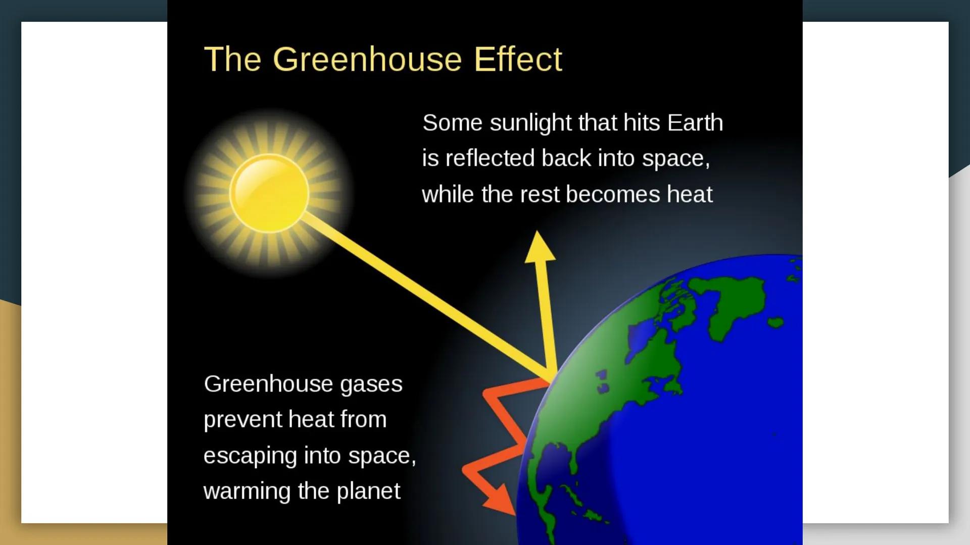 
<p>Human impact on biodiversity is a significant concern due to the various ways in which humans depend on Earth's biodiversity, such as fo