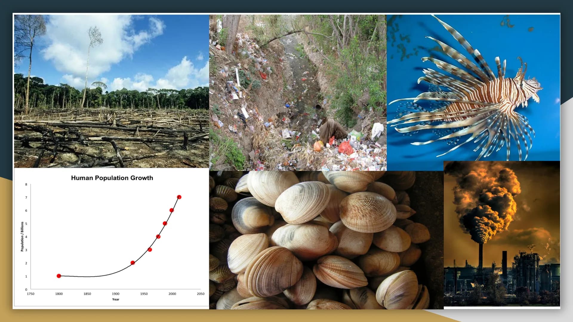 
<p>Human impact on biodiversity is a significant concern due to the various ways in which humans depend on Earth's biodiversity, such as fo