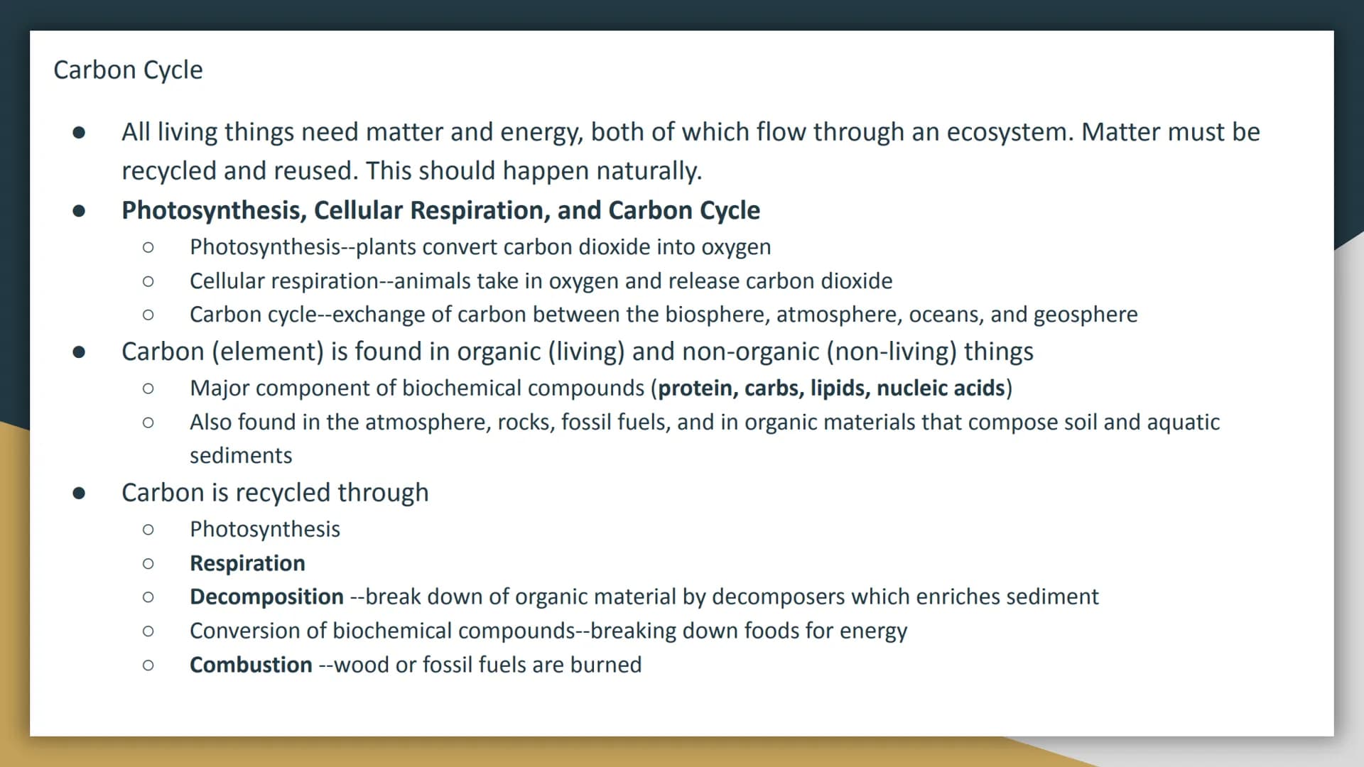 
<p>Human impact on biodiversity is a significant concern due to the various ways in which humans depend on Earth's biodiversity, such as fo