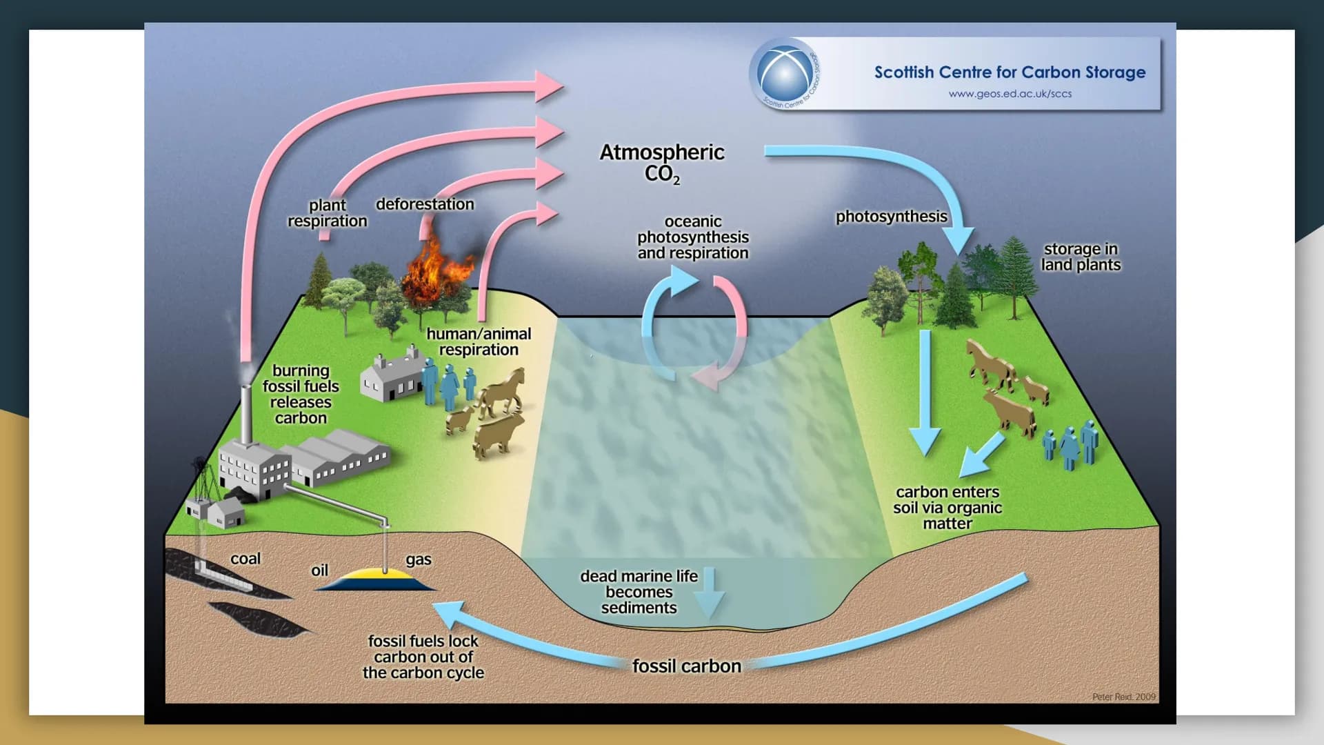 
<p>Human impact on biodiversity is a significant concern due to the various ways in which humans depend on Earth's biodiversity, such as fo