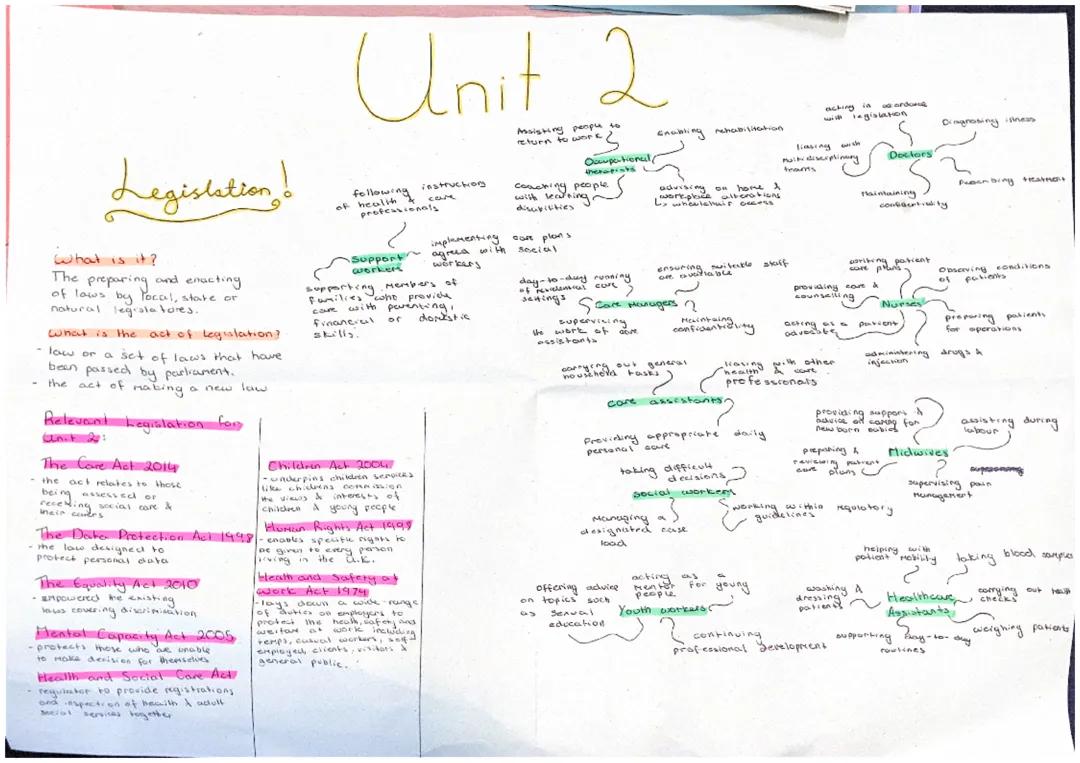 Professionals in health and social care Unit 2