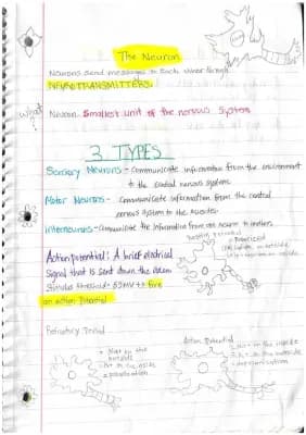 Know AP Psychology Unit Notes thumbnail