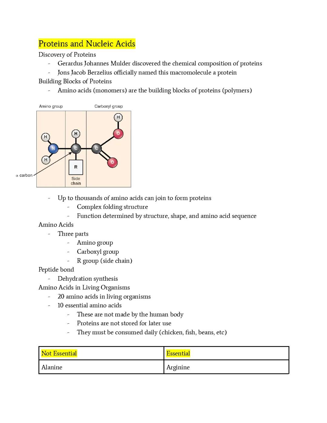 Proteins and Nucleic Acids