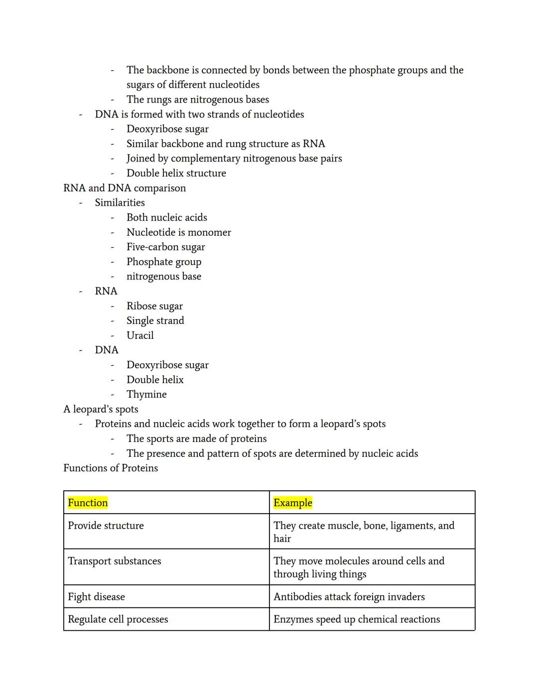 a carbon-
Proteins and Nucleic Acids
Discovery of Proteins
Gerardus Johannes Mulder discovered the chemical composition of proteins
Jons Jac